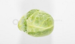 吃瓜图片下载,揭秘吃瓜图片下载背后的潮流现象