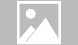 微信说吃瓜是什么意思