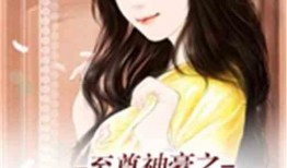 娱乐吃瓜酱体味小说阅读,小说阅读中的甜蜜与苦涩