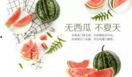 吃瓜活动策划,一场别开生面的吃瓜盛宴活动策划