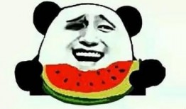 娱乐吃瓜酱睡觉,揭秘明星们的睡眠秘密