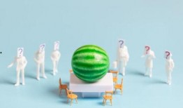 娱乐吃瓜汇,揭秘娱乐圈最新热点事件