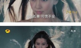 娱乐明星吃瓜专栏小说,明星吃瓜大作战