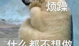 我就是个吃瓜群众图片搞笑,图解网络搞笑瞬间