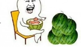 娱乐圈吃瓜元素