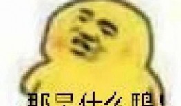 吃瓜表情包的意思,揭秘网络表情包背后的社会现象