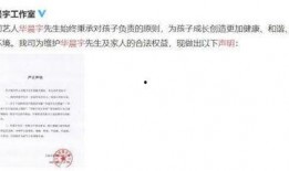 娱乐圈吃瓜的观后感,揭秘明星背后的真相与争议