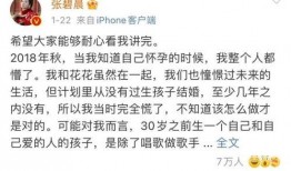 娱乐圈吃瓜的观后感,揭秘明星背后的真相与争议