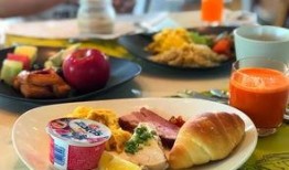 娱乐吃瓜酱素食小说免费阅读