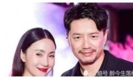 娱乐圈明星吃瓜大合集,盘点那些年我们追过的热点事件