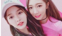 娱乐吃瓜酱男闺蜜,吃瓜酱与男闺蜜的甜蜜日常