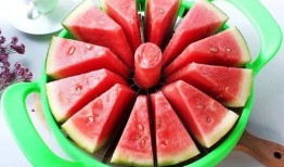 吃瓜活动策划,一场别开生面的吃瓜盛宴活动策划