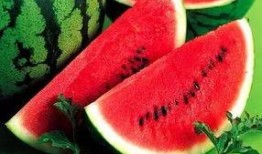 瓜家人在洛杉矶娱乐吃瓜号,瓜家人吃瓜大揭秘