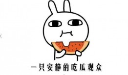 网络吃瓜啥意思是什么,揭秘虚拟世界中的围观文化