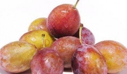 娱乐吃瓜少女西梅拿铁,娱乐吃瓜少女的趣味生活揭秘