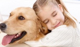 娱乐吃瓜酱狗狗