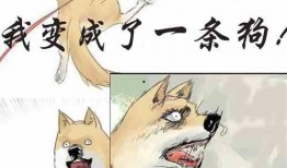 娱乐圈吃瓜小狗小说