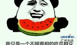 吃瓜群众是什么,网络时代的旁观者与评论家