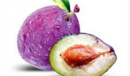 娱乐吃瓜少女西梅拿铁,娱乐吃瓜少女的趣味生活揭秘